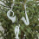 Pendentif de noël en plastique en forme d'instrument de-UN 5