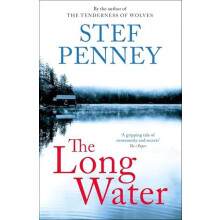 The Long Water by Stef Penney Paperback Book