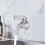 Ανθεκτική εξωτερική βρύση νερού για κάμπινγκ από ανοξείδωτο χάλυβα, βρύση 5