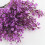 Τεχνητά λουλούδια, ύφασμα με ζωντανή υφή Real Touch Babys Breath, ιδανικό για εσωτερική και 7