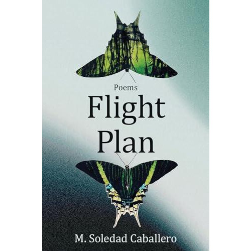 Flight Plan by M. Soledad Caballero Paperback Book
