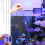 Long Coral Feeder Tool with Silicone Suction Head for All-C 7