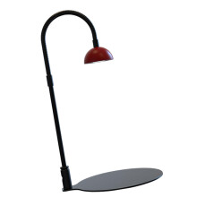 Indoor Plants Light Small Desk Plant Light Houseplant Lamp Desktop Plant Lamp Home Office Plant Light