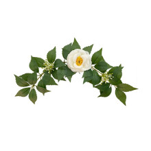 Galhos de limão artificiais realistas, fáceis de usar para pendurar, folhagem realista para decoração de casamento e casa (verde)