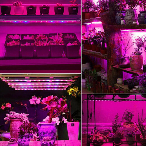 Sunlight Maestro, Φως ανάπτυξης με LED πλήρους φάσματος, Συμβατότητα USB για το ιδιωτικό σας 1