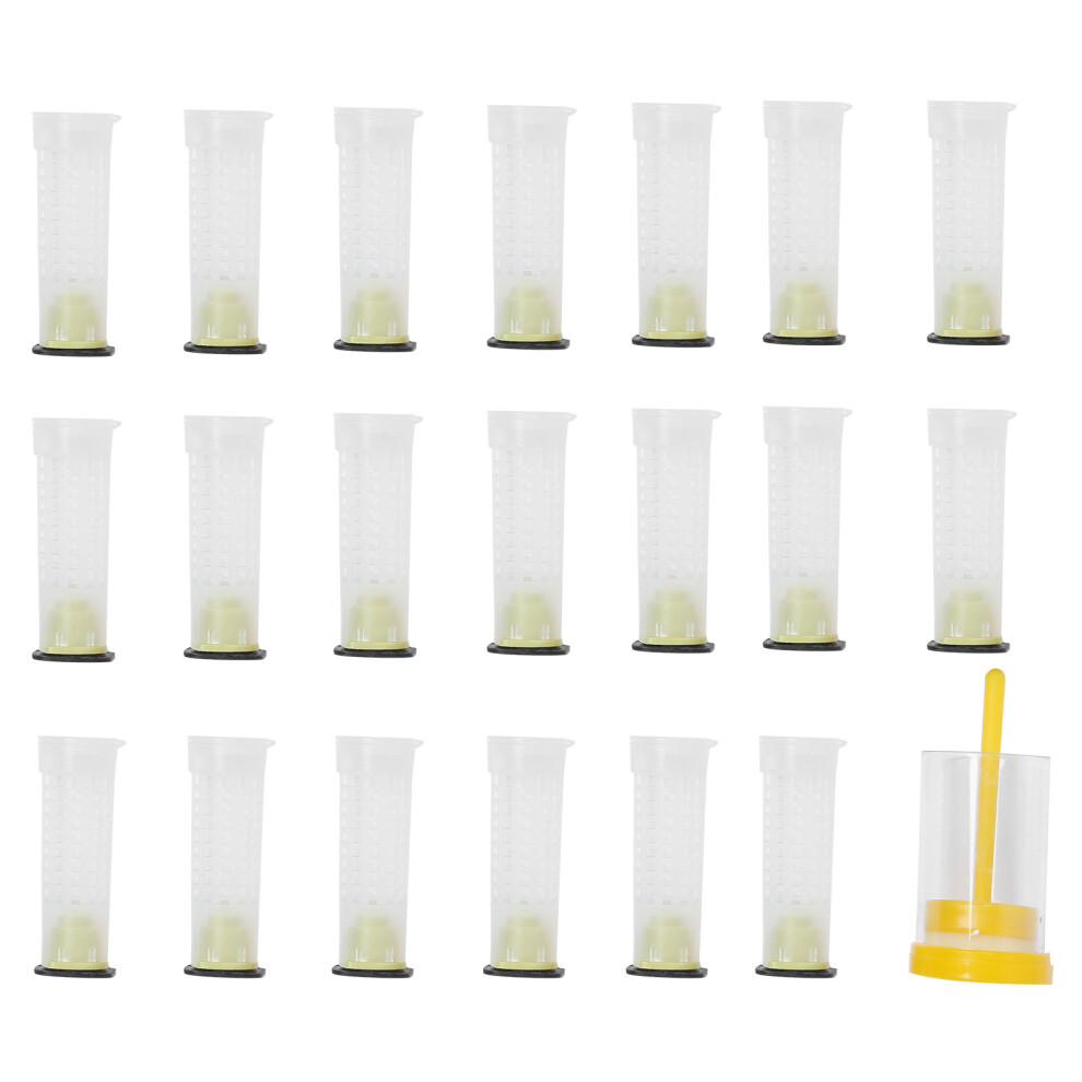 Beekeeping Tools Queen Bee Marking Marking Cage Bee Marker Soft Plunger Foam Pad Safe Container Durable Use Essential Tools Non Toxic-image-OPC-PNBTN7Y-NEW