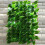 Επεκτάσιμη οθόνη απορρήτου για μπαλκόνι, κήπο, τεχνητούς φράκτες, περίφραξη από 1