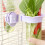 Sanitary Hydroponic Conure Supplier-Pink Ice cream shape 6
