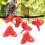 30Set Vogel Feeder Ersatz Blume Kunststoff Vogel 11