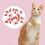Soft Plastic Colorful Cat Nail Caps Claw Protector-rose red S 7