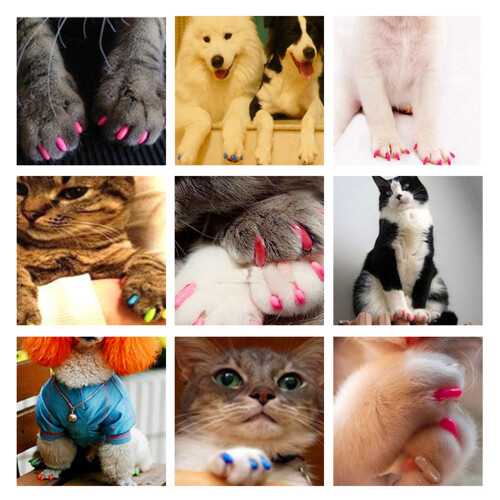Soft Plastic Colorful Cat Nail Caps Claw Protector-rose red S 2
