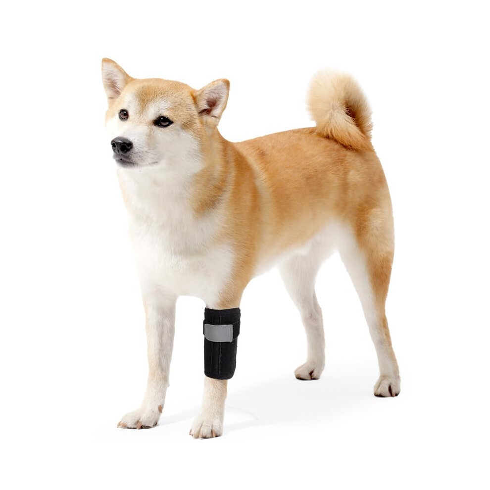 Dog Joint Hock Support Front Legs M Size 2 Pack Canine Hock Wrap Sleeve Elbow Brace Compression Straps