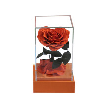 Ideias de presentes românticos com rosas para ela, rosas eternas frescas em cúpula de vidro, delicadas rosas preservadas à mão, seguras e
