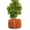 Permanent University Fabric Plant Defender Insulated For-D 6