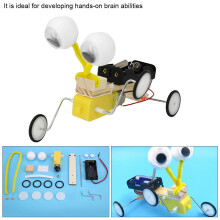 Bildungs-Reptilien-Bauanleitung Kit 13 cm DIY Wissenschaftsspielzeug für Kinder