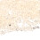 5000pcs 3mm Light Coffee Acrylic Wedding Diamond Confetti Decor 3