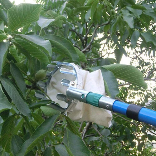 Συλλέκτης φρούτων, εργαλείο συλλογής χωρίς σκάλα για κεράσια, λωτούς, φύλλα 2
