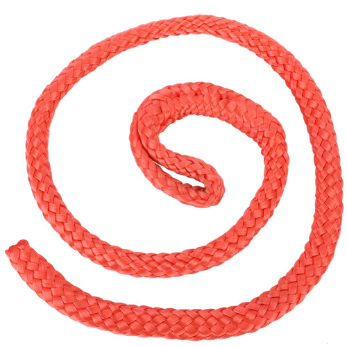 Langlebiges 1