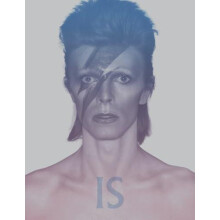 David Bowie Is Paperback Book