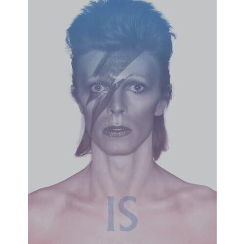 David Bowie Is Paperback Book