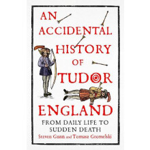 An Accidental History of Tudor England by Tomasz Gromelski Hardcover B