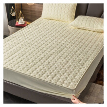 Thickened Mattress Cover With Elastic Band Solid Color Bed Sheet Cover Color CY Size 120x190x25