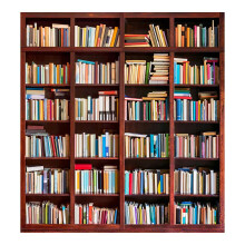 Fondo de estantería para estudio fotográfico, librería vintage con diseño de estante de madera realista en 3D, decoración de pared con libros