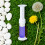 60 g Toilettengel, lang anhaltender Duft, 6