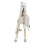 CHICCO - Trona Polly Armonia Greenery 2