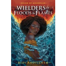 Wielders of Floods and Flames by Didi Anofienem Paperback Book