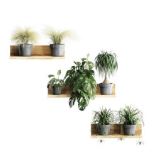 Autocolante de perete 3D, autocolante detașabile cu bonsai, decorațiuni creative pentru perete