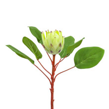 Protea artificiale dall'eleganza esotica, creazione realistica in tessuto di seta, splendore tropicale, steli in ferro e plastica, 1 morbido, tintura