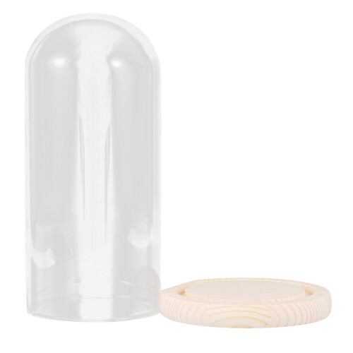 3 Pezzi Coppa 9X24 Cm per Micro Paesaggio su Base 1