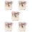 5 Ensembles De Cartes De De Mariage Avec Nœud 8