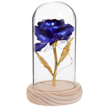 Lămpi cu flori LED, trandafiri conservați, stil romantic, cadou aniversar, 1 set