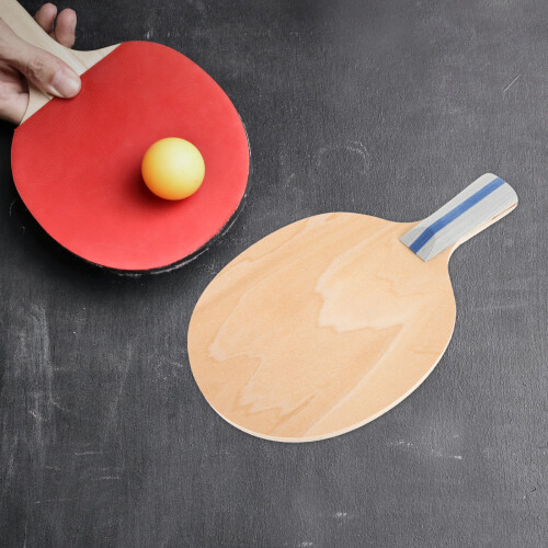 Bordtennisracket I Grepp För Utomhusbruk 2