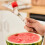 Watermelon Fork Stainless Steel Cube Slicer Watermelon Cube Cutter Silver 4
