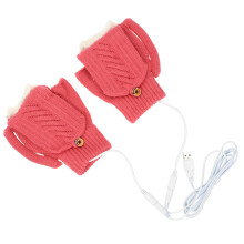 2 Sets USB Heated Gloves for Women and Men Thermal Heating Gloves