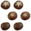 12 Pcs Simulated Mushroom Models Decorative Photo Props 1