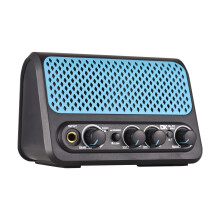DK 10W Tragbarer Elektrischer Gitarrenverstärker 15,5 cm Schwarz mit Reverb & Bluetooth