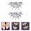 8 -Schnallen -Clips -Accessoires 10