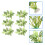 12 Kunstmatige Aquariumplant Plastic Watergras Versiering 10