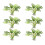12 Kunstmatige Aquariumplant Plastic Watergras Versiering 2