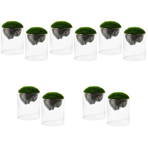 10 Moosflasche Landschaft Glasflasche 2