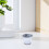 12 Unidades Mini Balde Infantil De Ferro Para Flores 3