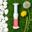 60 g Toilettengel, lang anhaltender Duft, 5