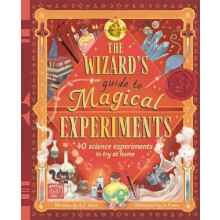 The Wizards Guide to Magical Experiments by Amanda Wood Hardcover Book