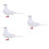 3 Simulationstaube Garten 8