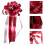 20 -Zug-Band Party- Geschenkverpackung 10