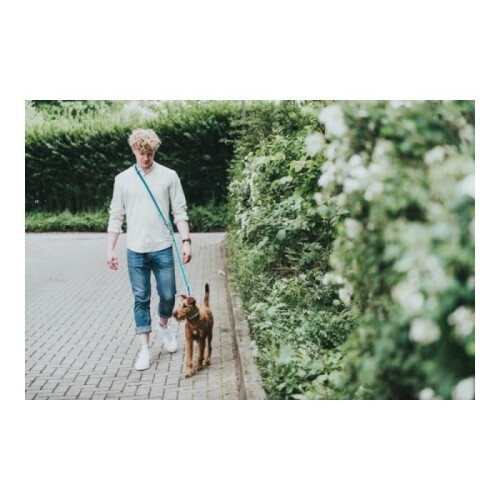 Hunter Hunter Leave for Dog HILO Blue (200 cm) - 4016739674890 2